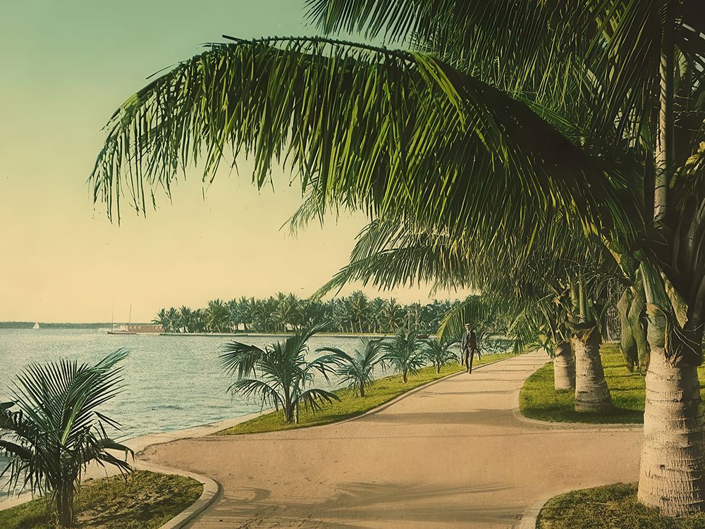 Florida - the Walk at Palm Beach Ca 1898 art print by Vintage Photochrom United States for $57.95 CAD