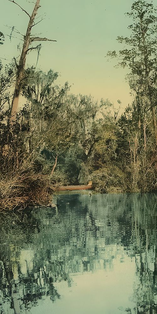 Florida Tributary of the St Johns Ca 1898 art print by Vintage Photochrom United States for $57.95 CAD