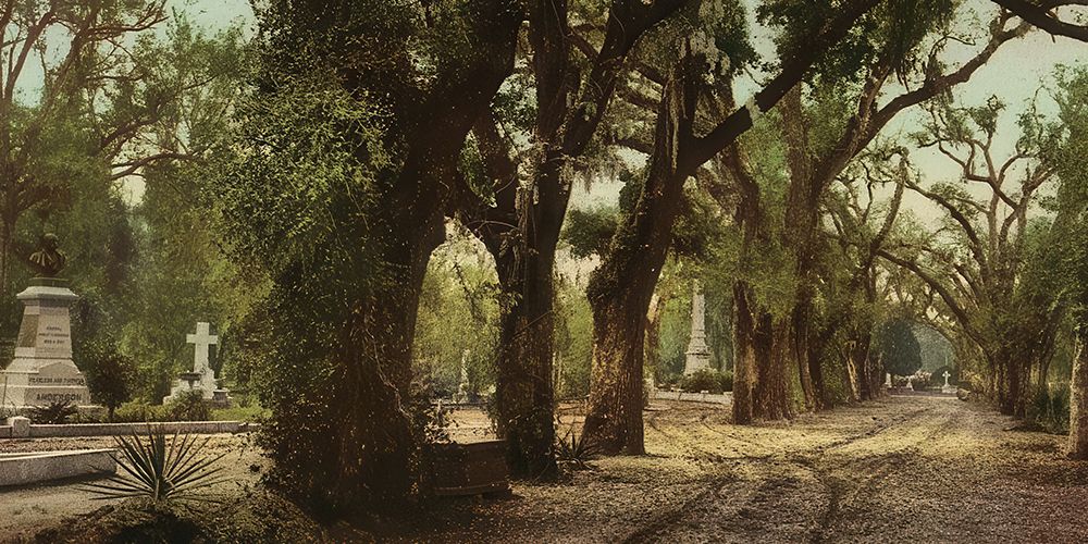 Georgia - Bonaventure Cemetery Savannah Ca 1901 art print by Vintage Photochrom United States for $57.95 CAD