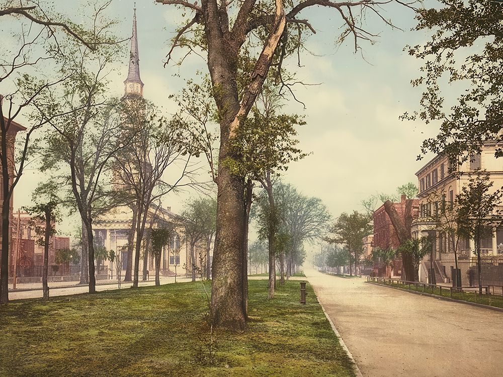 Georgia - Oglethorpe Avenue Savannah Ca 1900 art print by Vintage Photochrom United States for $57.95 CAD