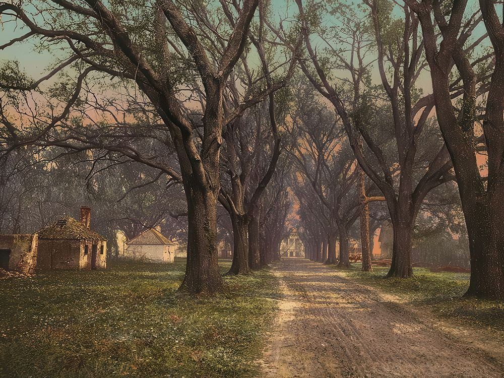 Georgia - the Hermitage Savannah Ca 1900 art print by Vintage Photochrom United States for $57.95 CAD