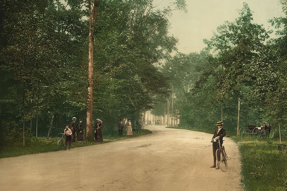 Michigan - Detroit Belle Isle Forest Drive Ca 1898 art print by Vintage Photochrom United States for $57.95 CAD