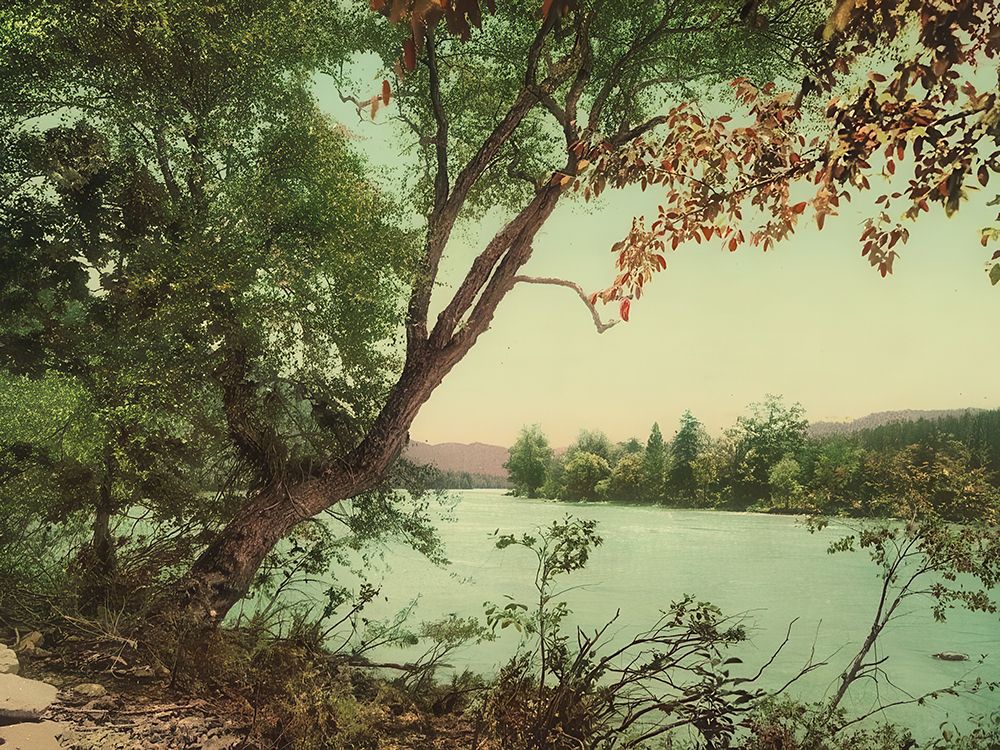 North Carolina - the French Broad at Jacks Run Ca 1902 art print by Vintage Photochrom United States for $57.95 CAD