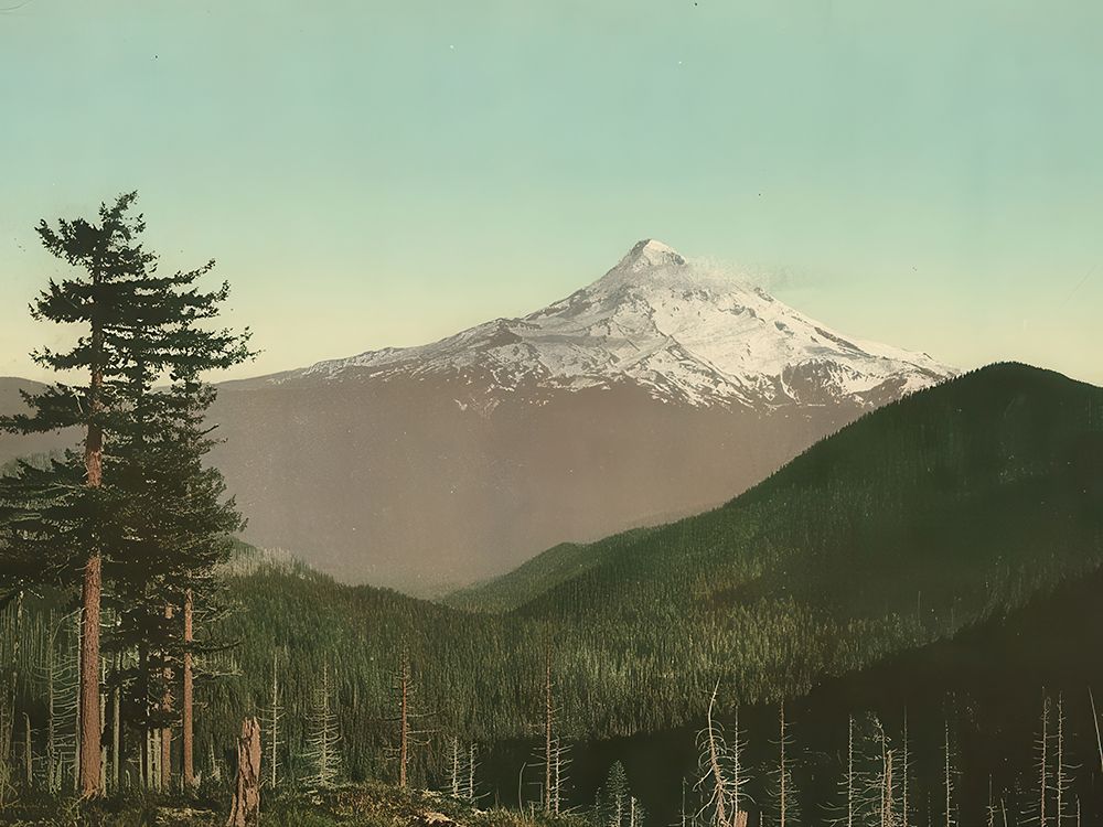 Oregon - Mt Hood Ca 1898 art print by Vintage Photochrom United States for $57.95 CAD