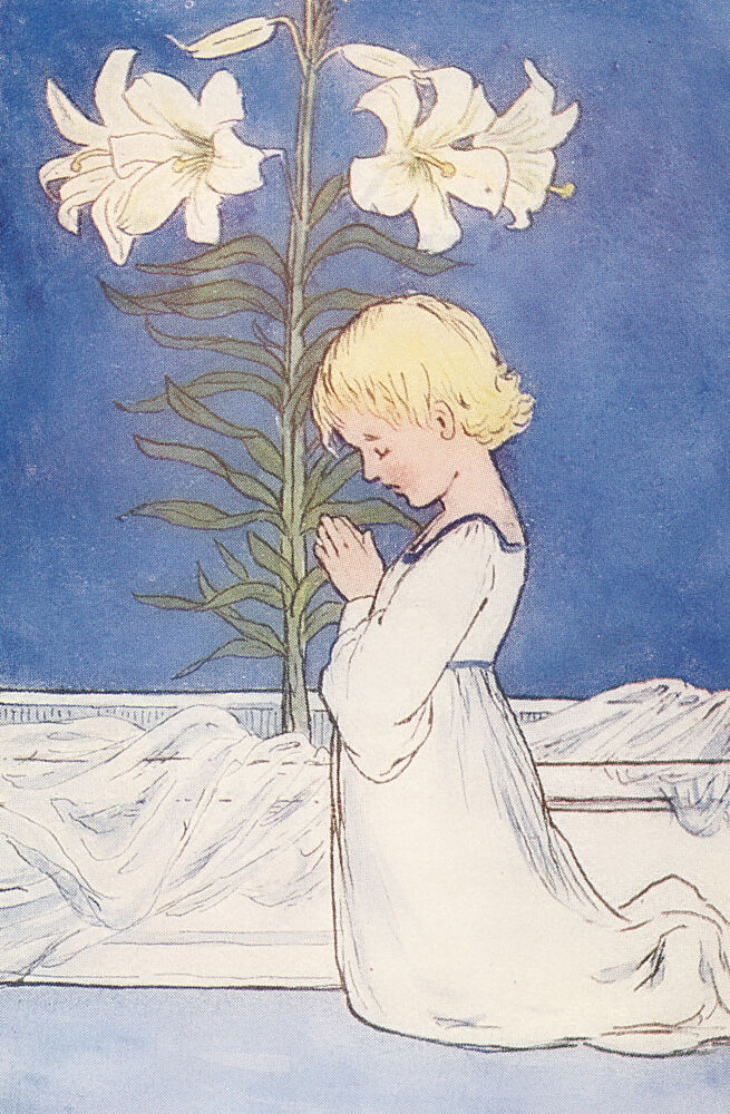 Madonna Lily, Summer Flowers C.1910 art print by Eleanor S. March for $57.95 CAD