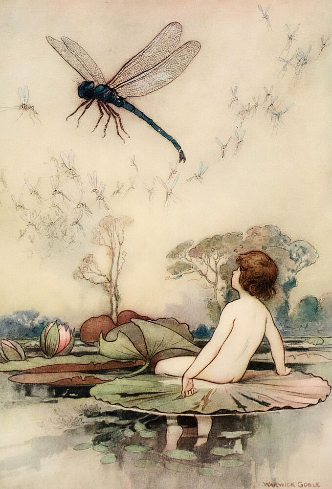A Dragonfly, the Water-Babies 1909 art print by Warwick Goble for $57.95 CAD