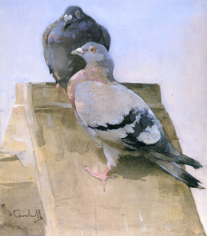 Pigeons on the Roof Ca 1895 art print by Joseph Crawhall for $57.95 CAD
