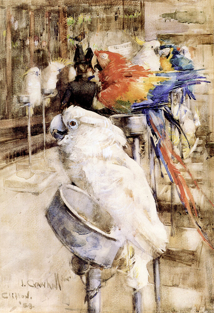The Aviary, Clifton 1888 art print by Joseph Crawhall for $57.95 CAD