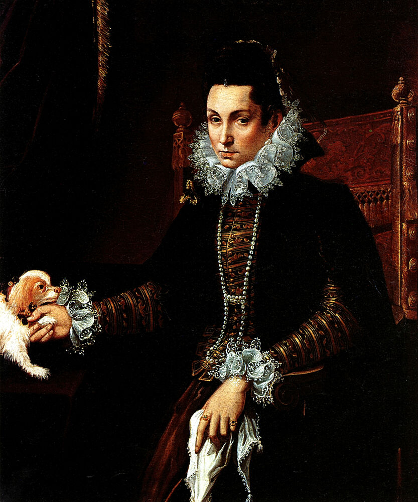 Portrait of a Lady with a Lapdog 1590s art print by Lavinia Fontana for $57.95 CAD