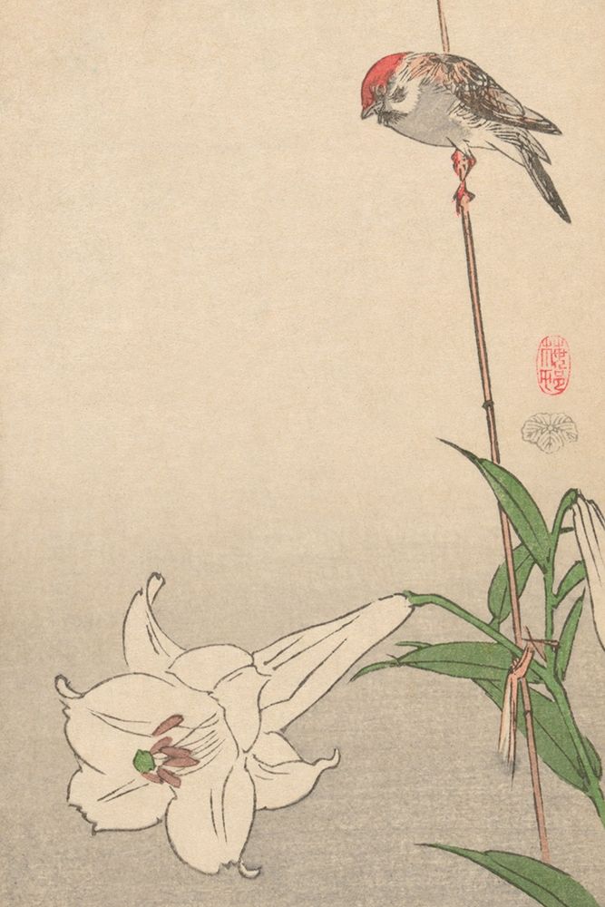 Small bird on lily plant., 1893 art print by Baison for $57.95 CAD