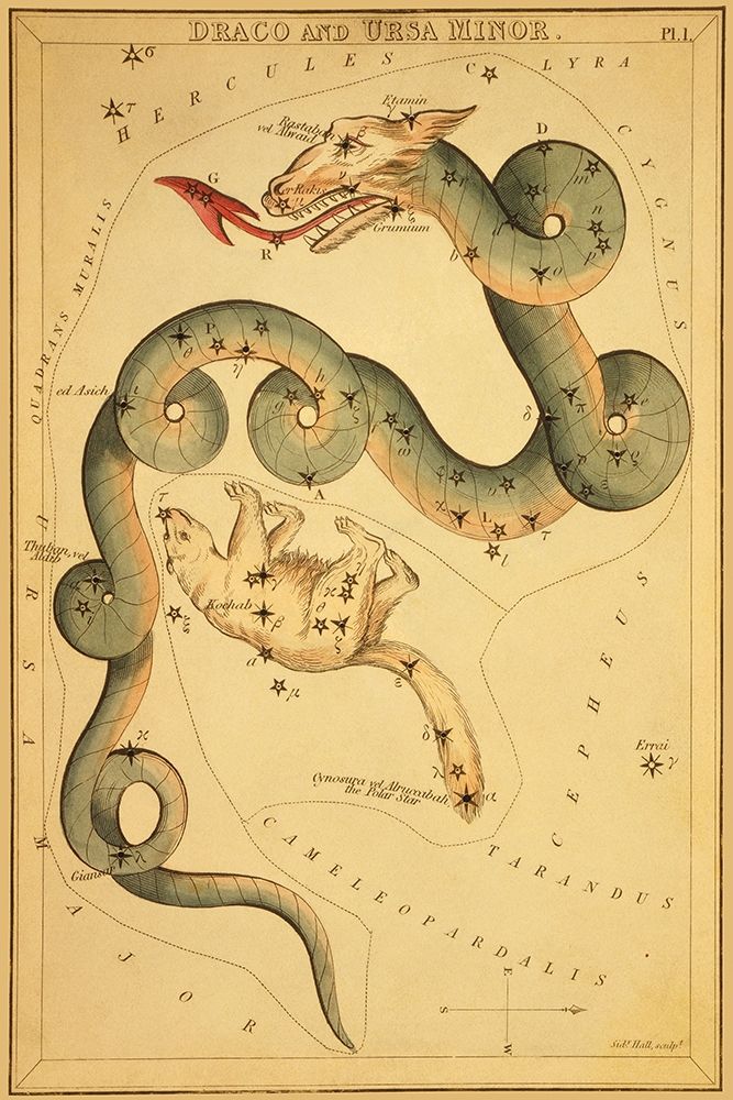 Draco and Ursa Minor, 1825 art print by Jehoshaphat Aspin for $57.95 CAD