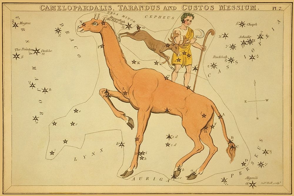 Camelopardalis, Tarandus and Custos Messium, 1825 art print by Jehoshaphat Aspin for $57.95 CAD