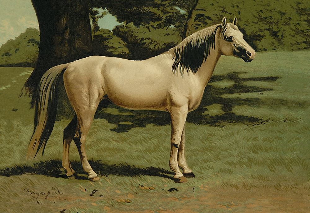 General Grants Charger, 1900 art print by Samuel Sidney for $57.95 CAD