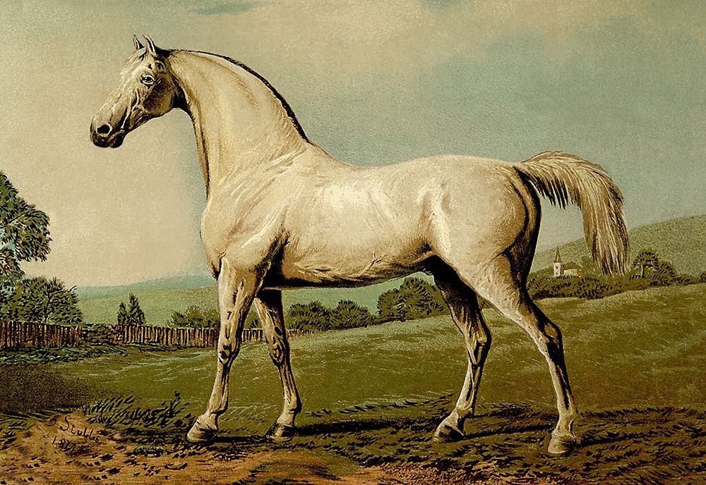 Mambrino, 1900 art print by Samuel Sidney for $57.95 CAD
