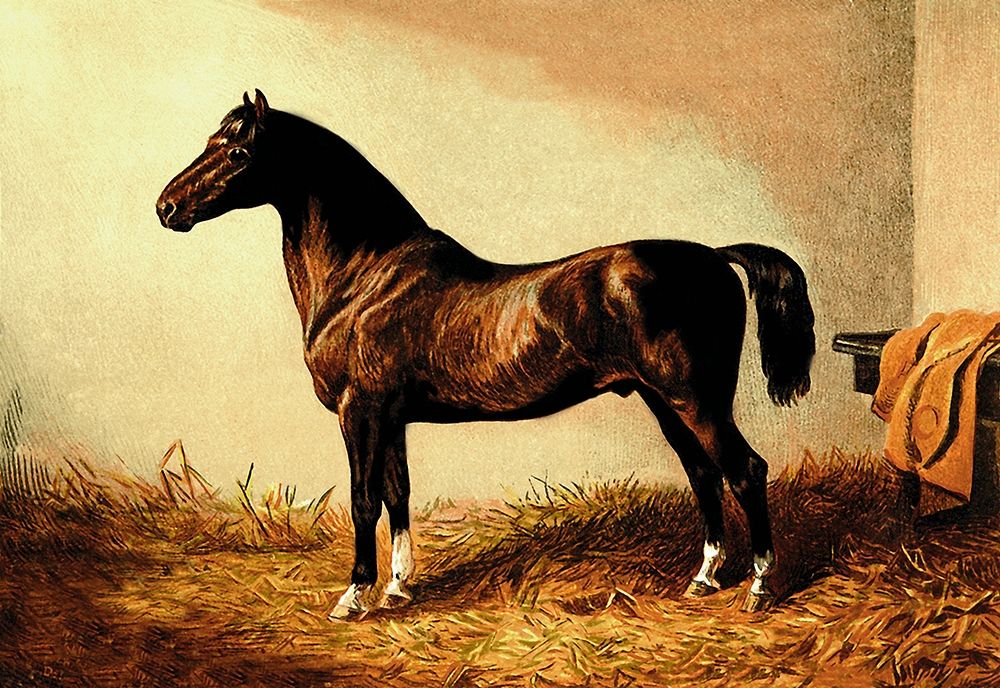Don Carlos, 1900 art print by Samuel Sidney for $57.95 CAD