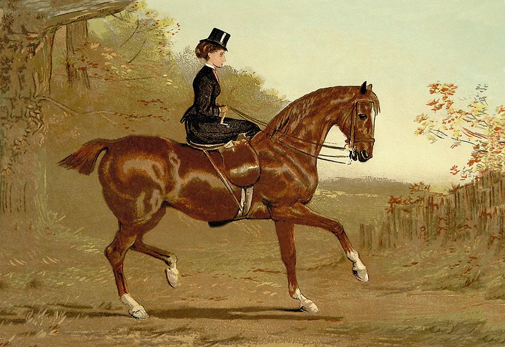 Book of the Horse, 1900 art print by Samuel Sidney for $57.95 CAD