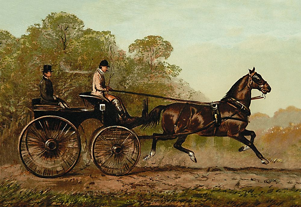 Columbine, 1900 art print by Samuel Sidney for $57.95 CAD