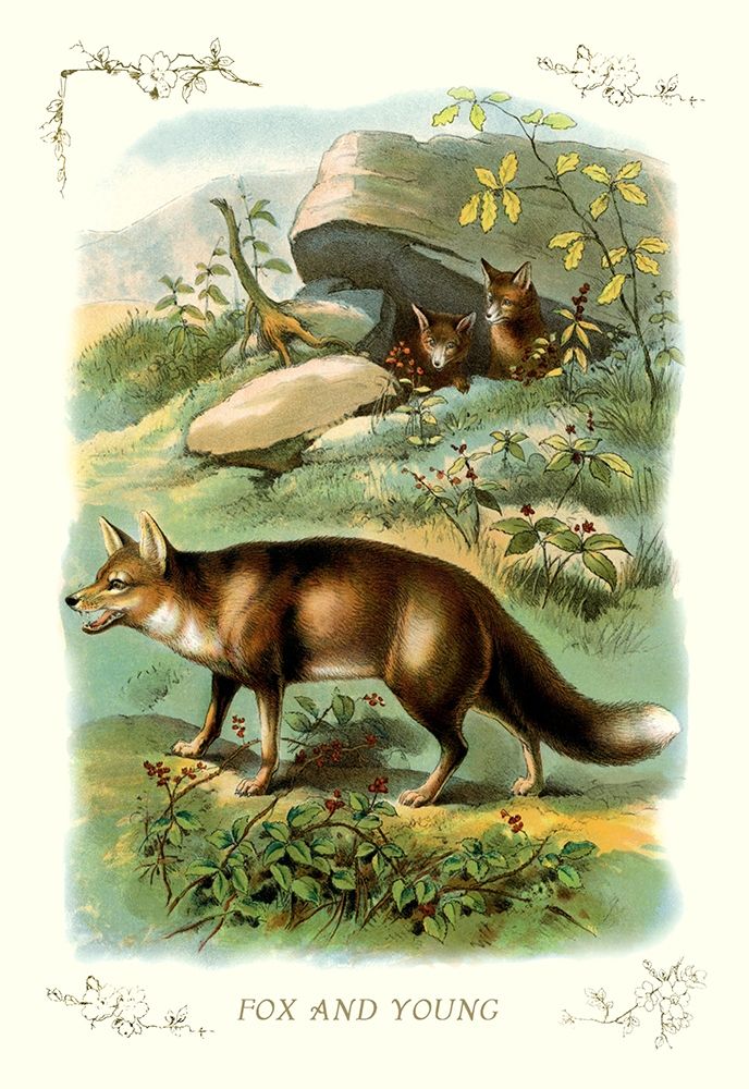 Fox and Young, 1900 art print by Unknown for $57.95 CAD