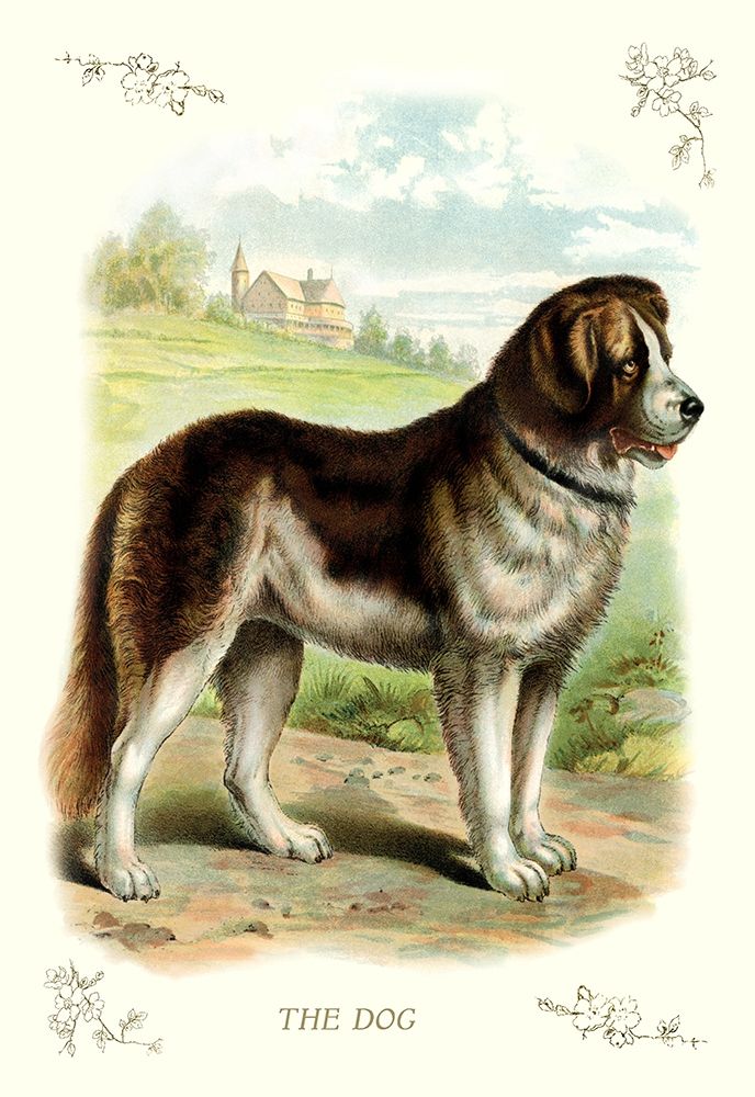 The Dog, 1900 art print by Unknown for $57.95 CAD