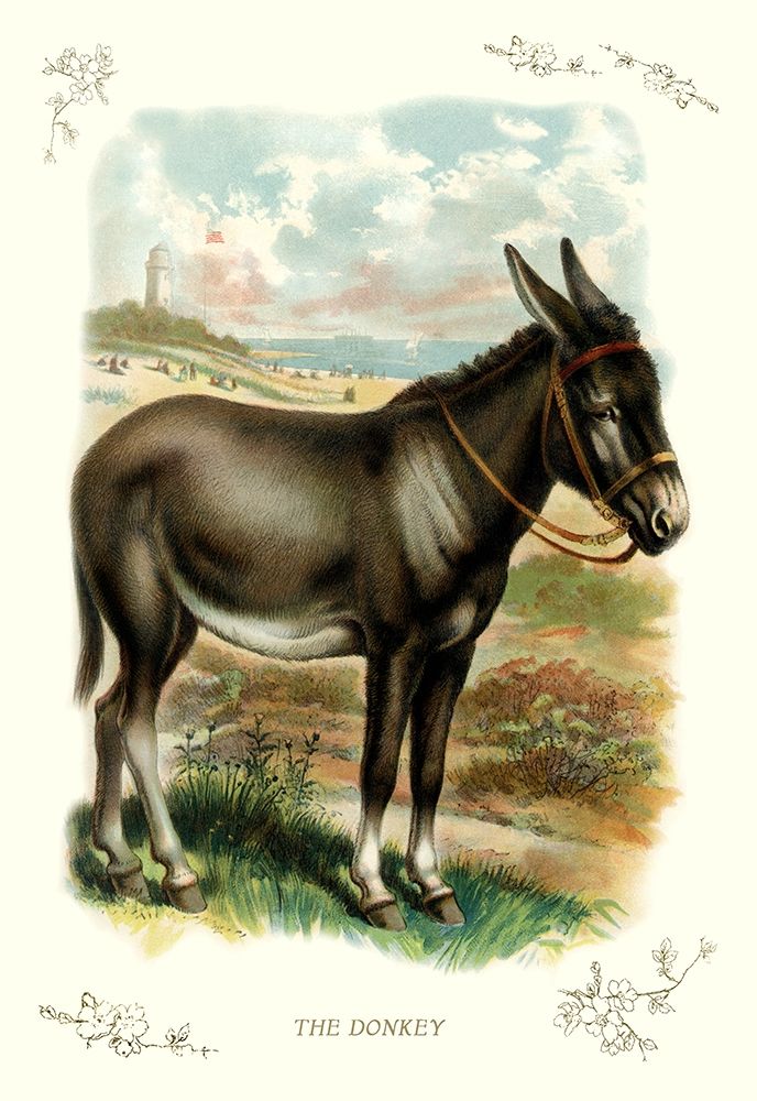 The Donkey, 1900 art print by Unknown for $57.95 CAD