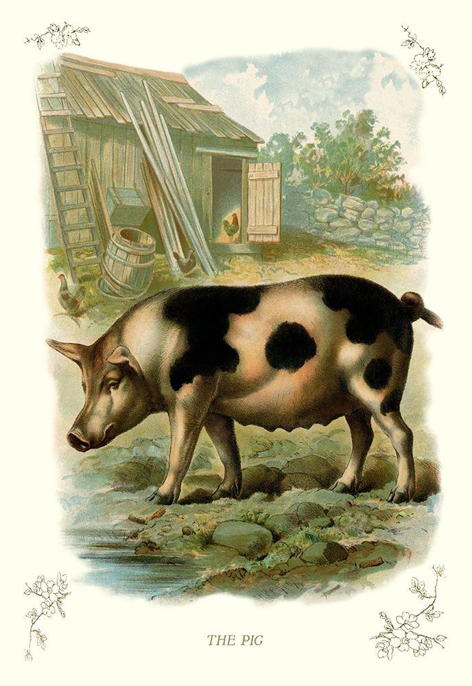 The Pig, 1900 art print by Unknown for $57.95 CAD
