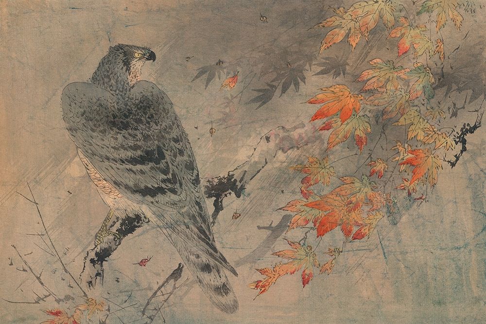 Eagle on a maple branch art print by Unknown for $57.95 CAD