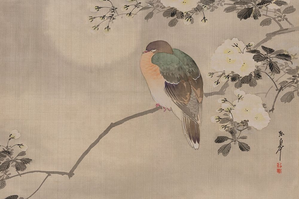 Robin sitting on a Tree Branch art print by Unknown for $57.95 CAD