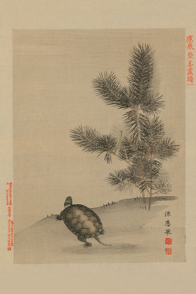 Turtle art print by Unknown for $57.95 CAD
