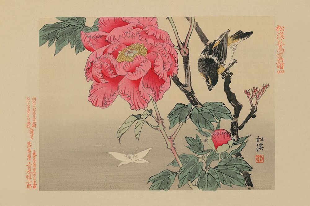 Bird watching a Butterfly art print by Unknown for $57.95 CAD