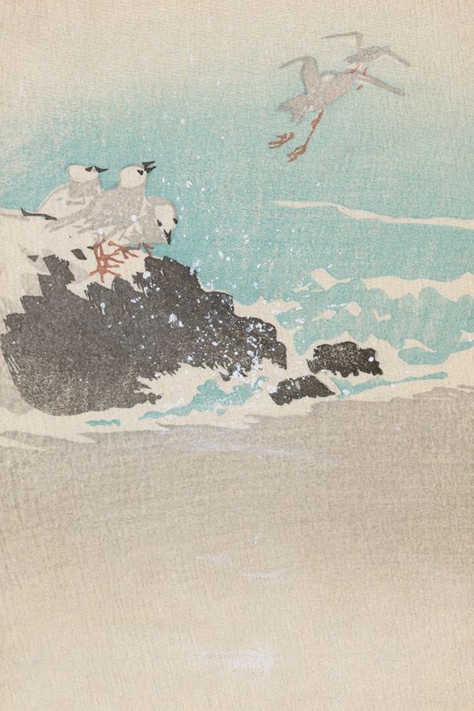 Plovers over waves art print by Unknown for $57.95 CAD