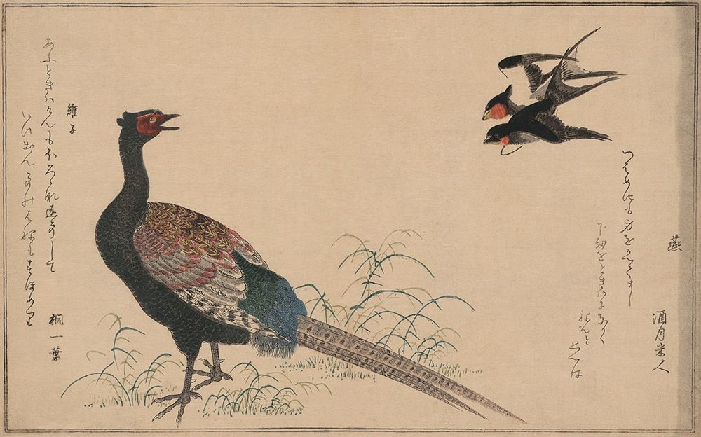 Pheasant art print by Unknown for $57.95 CAD