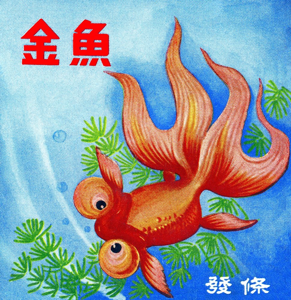 Fancy Bubble Eye Goldfish art print by Retrobot for $57.95 CAD