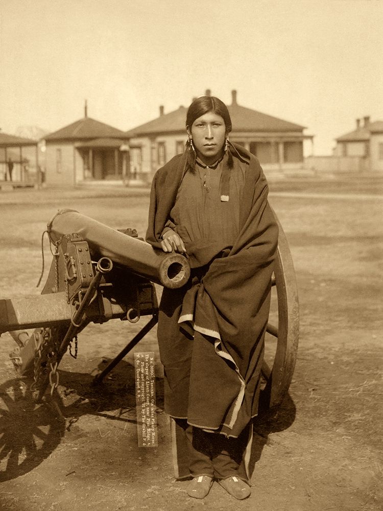 Oglala Sioux Plenty Horse Next to Cannon art print by John C.H. Grabill for $57.95 CAD