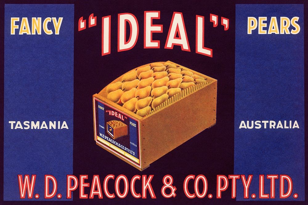 Ideal Fancy Pears art print by Unknown for $57.95 CAD