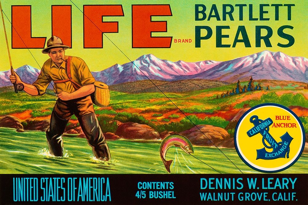 Life Brand Bartlett Pears art print by Retrolabel for $57.95 CAD