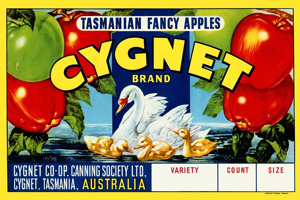 Cygnet Tasmanian Fancy Apples art print by Retrolabel for $57.95 CAD