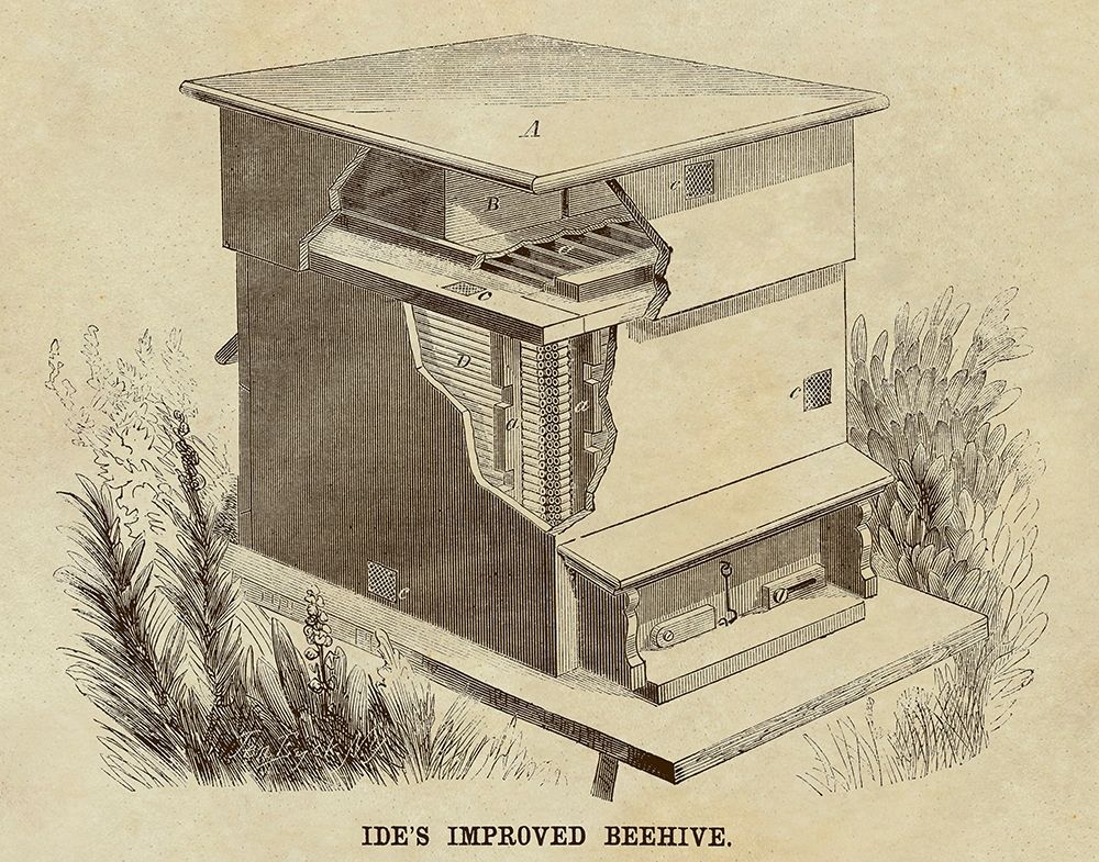 Ides Improved Beehive art print by Inventions for $57.95 CAD