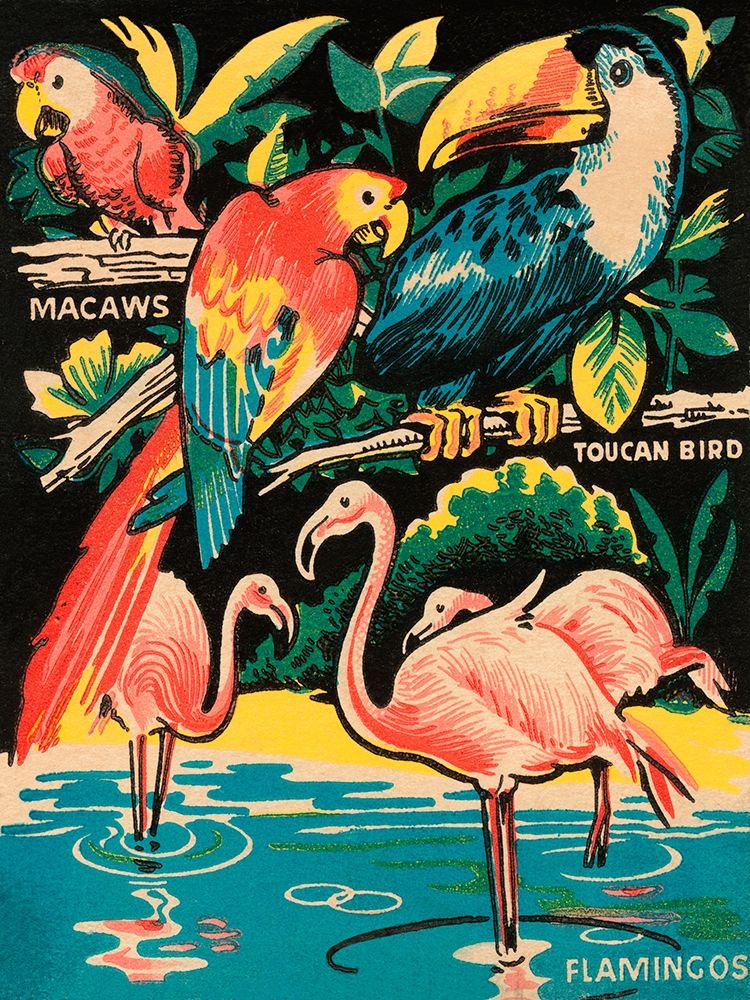 Tropical Hobbyland - Birds art print by Retrotravel for $57.95 CAD