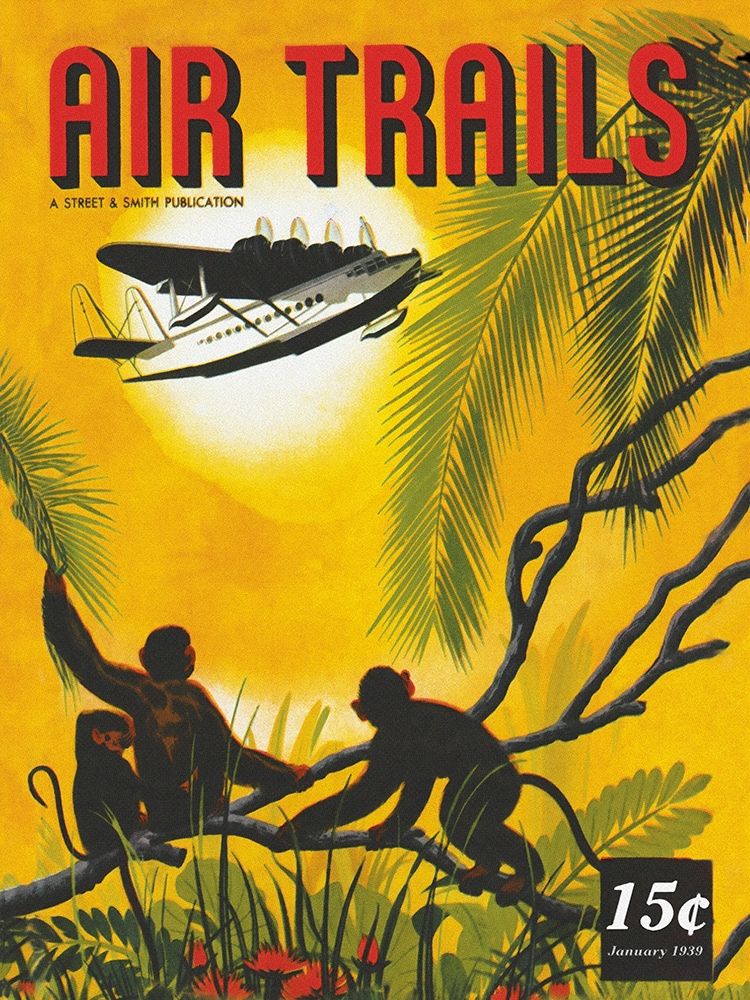 Seaplane Over the Tropics art print by Unknown for $57.95 CAD