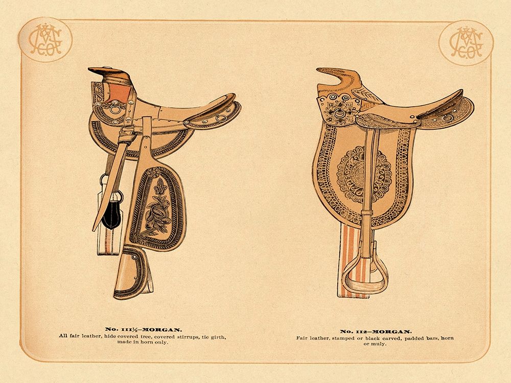 Saddles and Tack: Morgan Saddles #1 art print by Unknown for $57.95 CAD