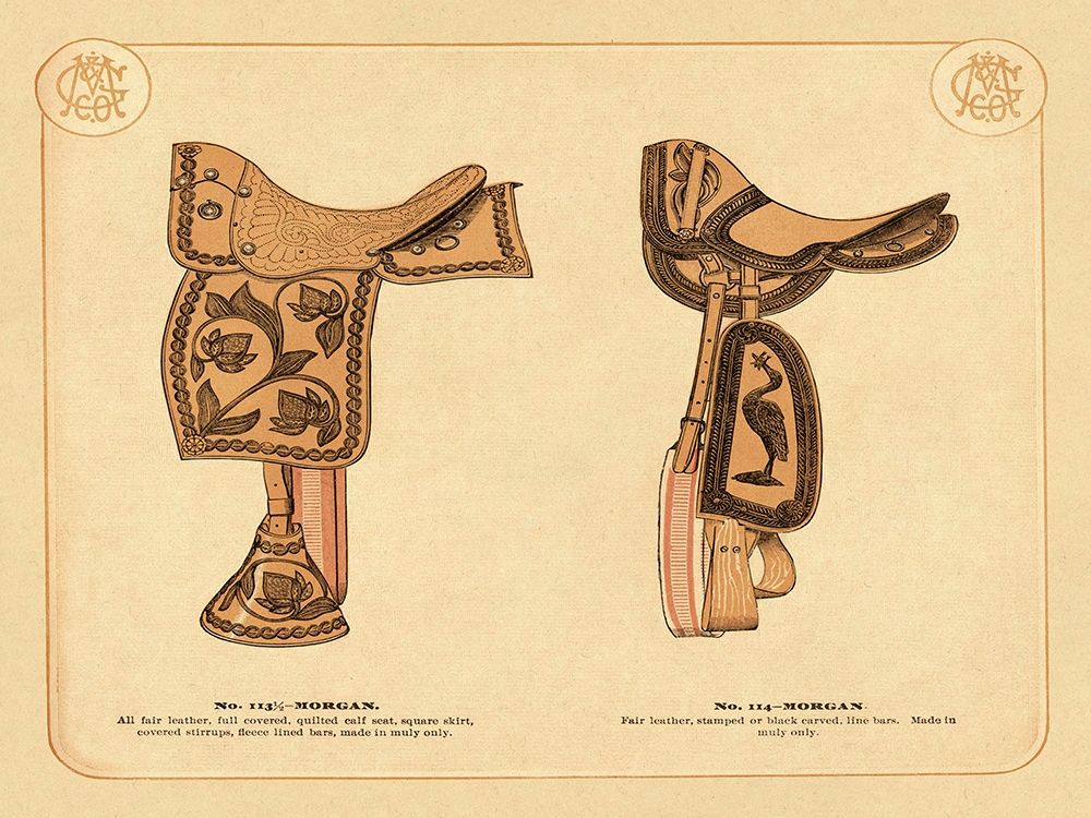 Saddles and Tack: Morgan Saddles #2 art print by Unknown for $57.95 CAD