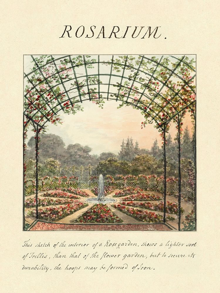 Rosarium, 1813 art print by Humphry Repton for $57.95 CAD