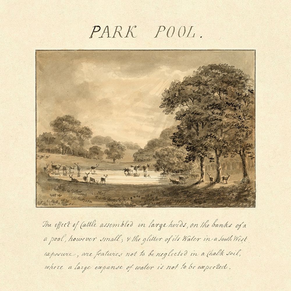 Park Pool, 1813 art print by Humphry Repton for $57.95 CAD