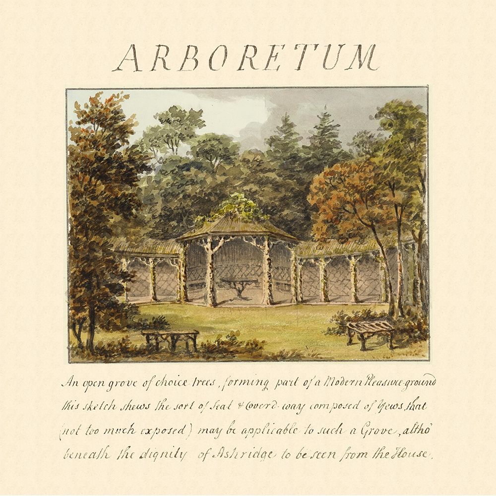 Arboretum, 1813 art print by Humphry Repton for $57.95 CAD
