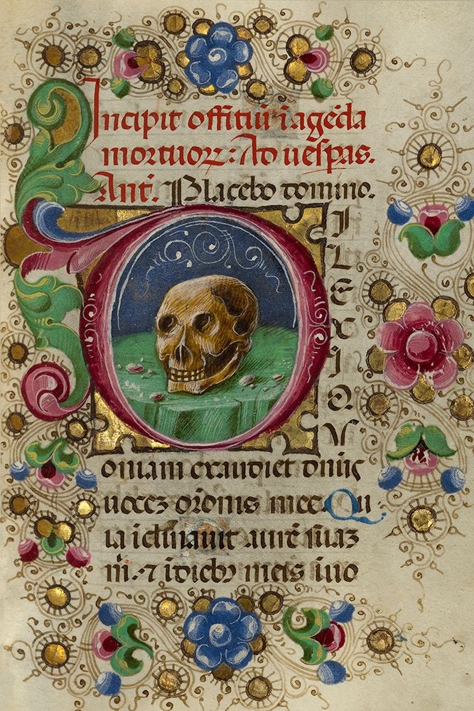 Initial D: A Skull in a Rocky Field art print by Taddeo Crivetti for $57.95 CAD