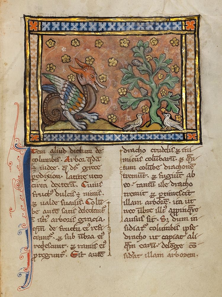 A Dragon Charging Two Doves art print by Franco-Flemish 13th Century for $57.95 CAD