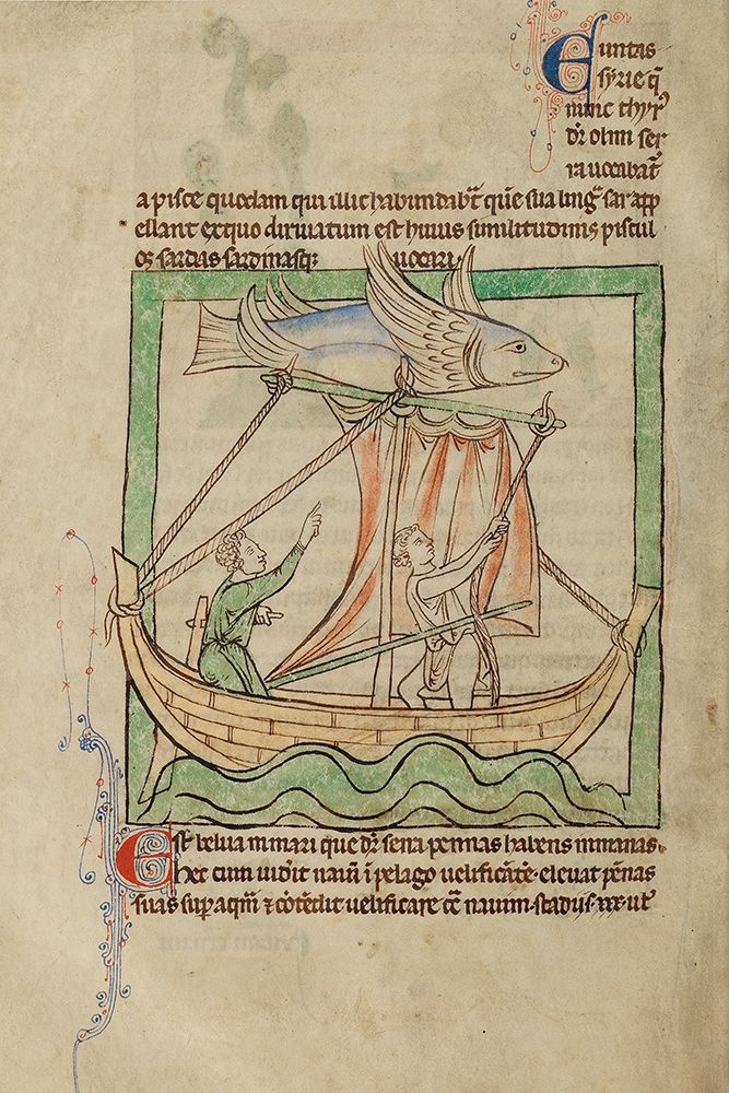 A Flying Fish art print by English 13th Century for $57.95 CAD