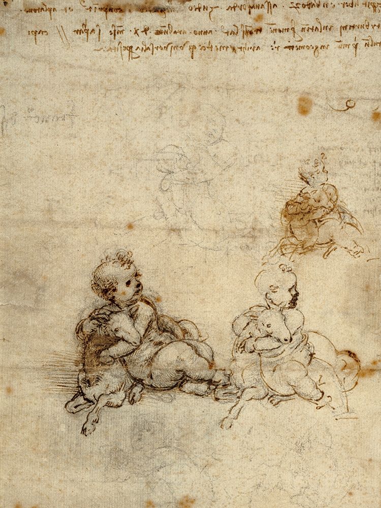 Studies for the Christ Child with a Lamb (recto) art print by Leonardo da Vinci for $57.95 CAD