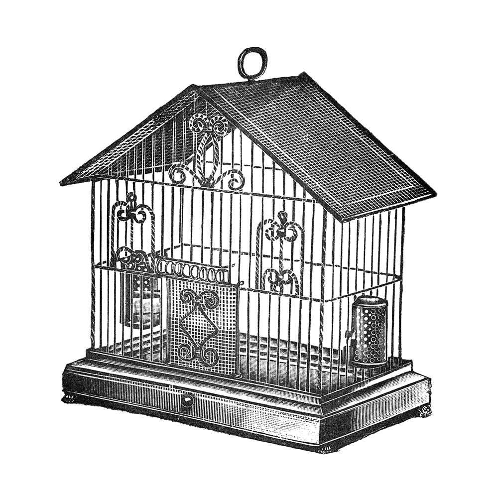 Etchings: Birdcage - Peaked top, twisted wire detail. art print by Catalog Illustration for $57.95 CAD