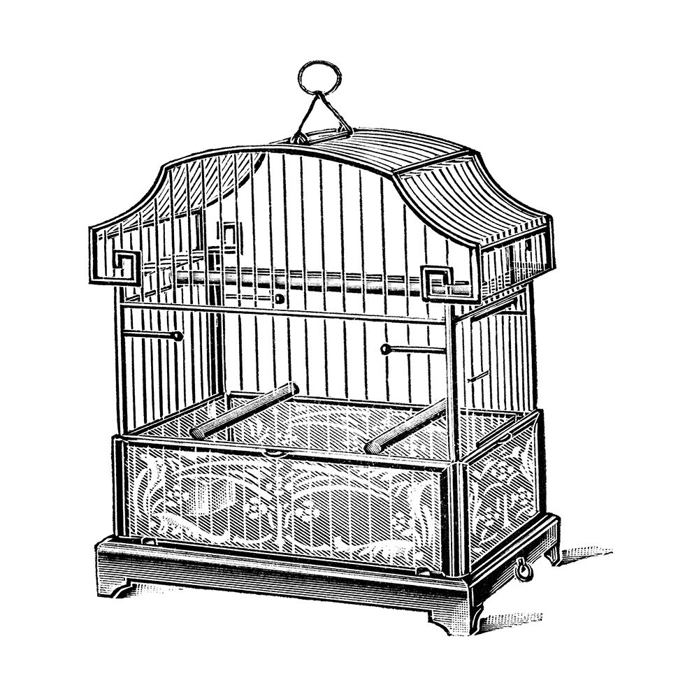 Etchings: Birdcage - Gable top, floral base. art print by Catalog Illustration for $57.95 CAD